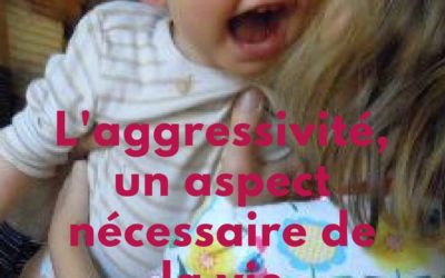 L’agressivité – un aspect nécessaire de la vie familiale